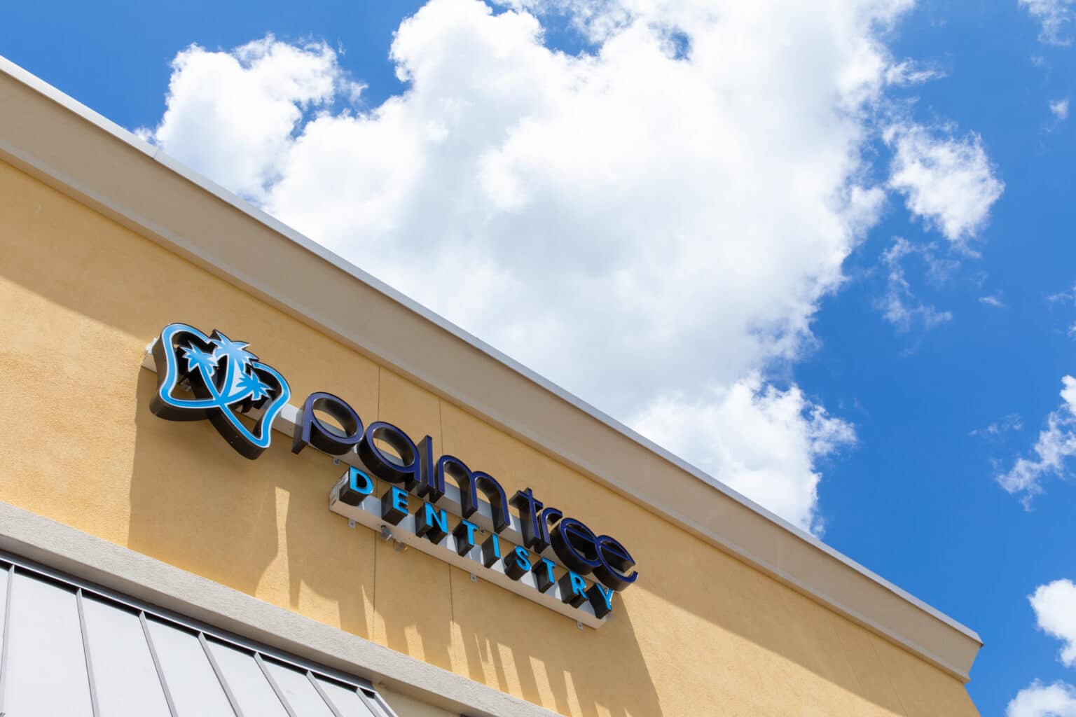 Spring Hill FL Dentist — Palm Tree Dentistry — Spring Hill, FL